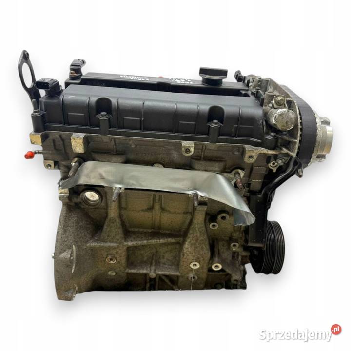 SILNIK HXDA Ford Focus II MK2 C C 16 16V Ti HXDB Chełm