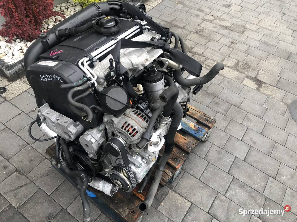 Silnik Kompletny 20 Tdi Bkd Audi Vw Seat Skoda 4 wielkopolskie Dobra Nadzieja