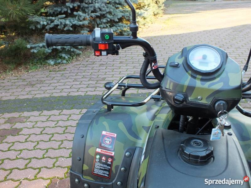 Quad ATV Bashan BS250s24 kujawsko-pomorskie Skępe