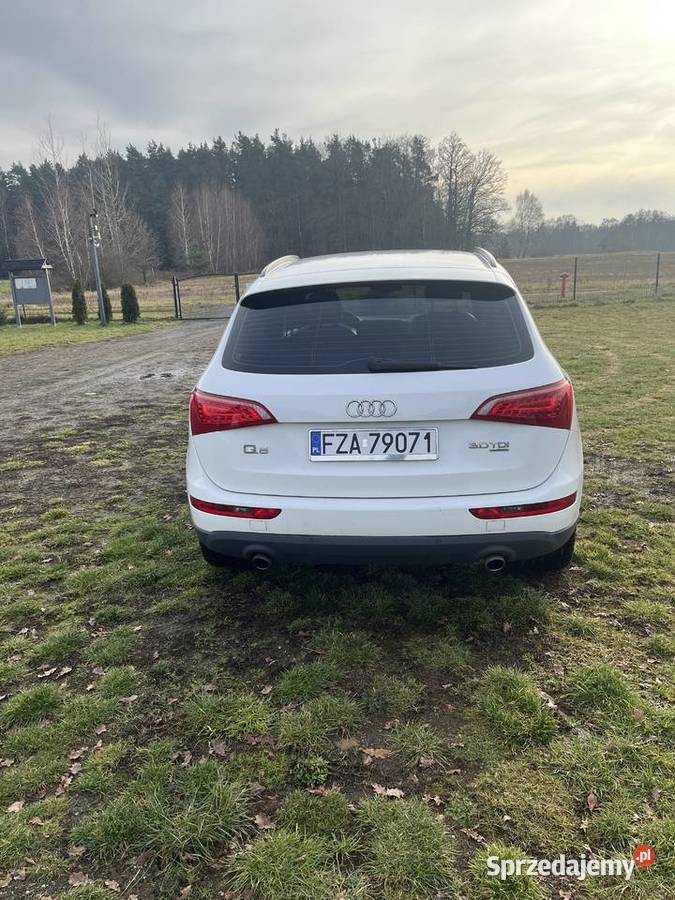 Audi Q5 30 quatro Zarejestrowany w Polsce Żary
