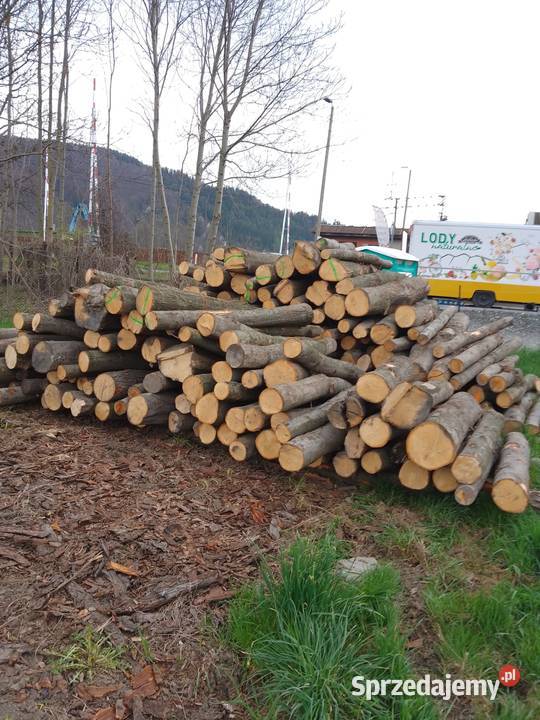 OLCHA wałki 25 metra drewno drzewo opałowe 250 Jeleśnia sprzedam