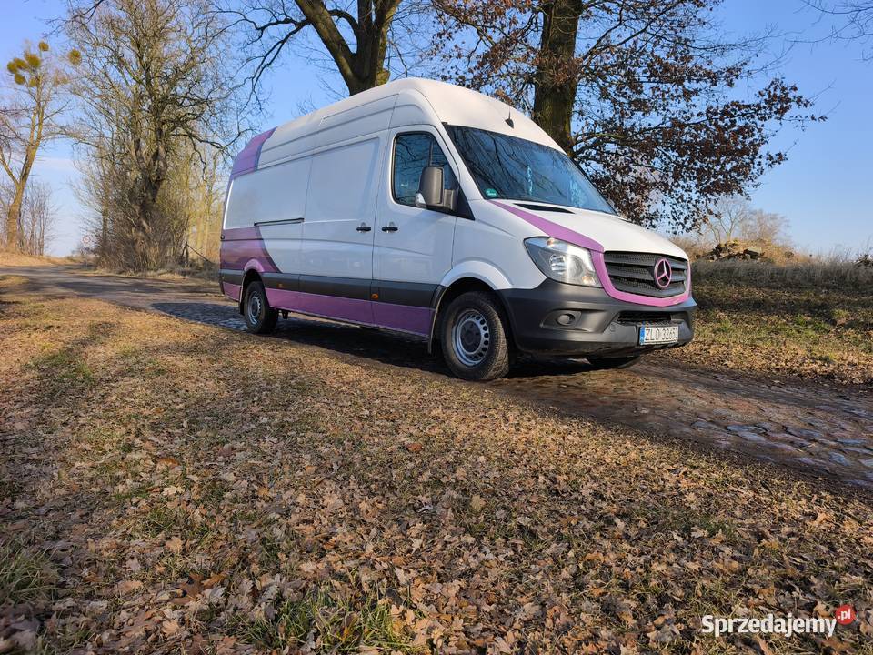 Mercedes Sprinter 316 Maxi Jumbo