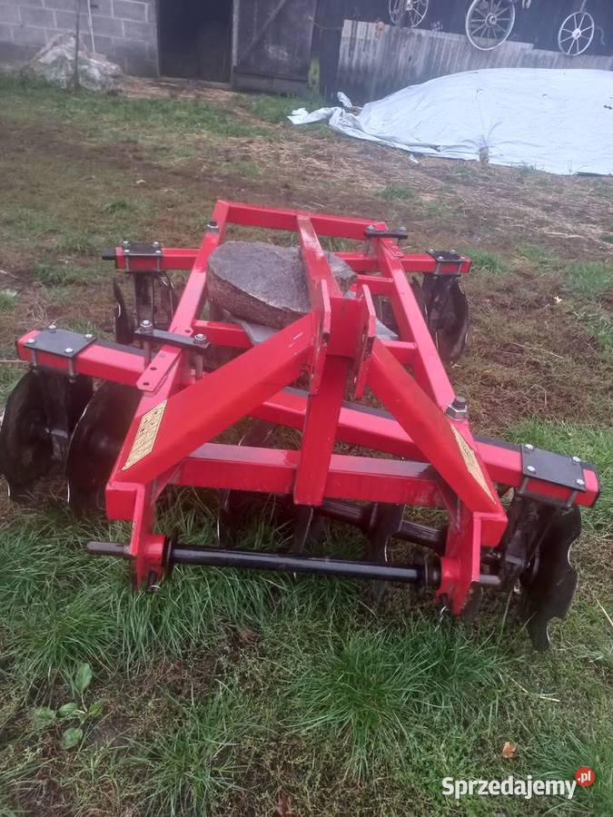 Talerzówka Błaszki