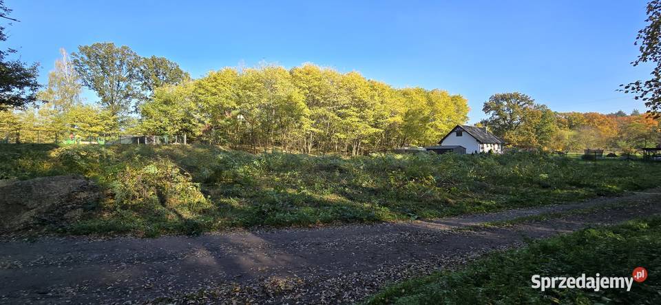 DZIAŁKA BUDOWLANA 1622 m² – MPZP, MEDIA, PRZY LESIE – NOWY ŚWIAT/ GÓRZYKOWO