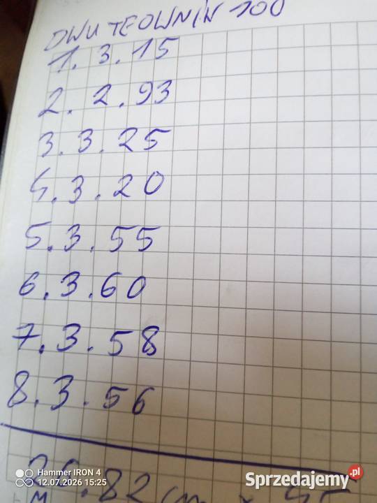 Dwuteownik 100 8 Pozostałe świętokrzyskie