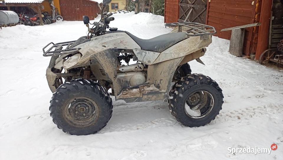 Sym 250 Eton Duży Kład transportzamoana Płosków