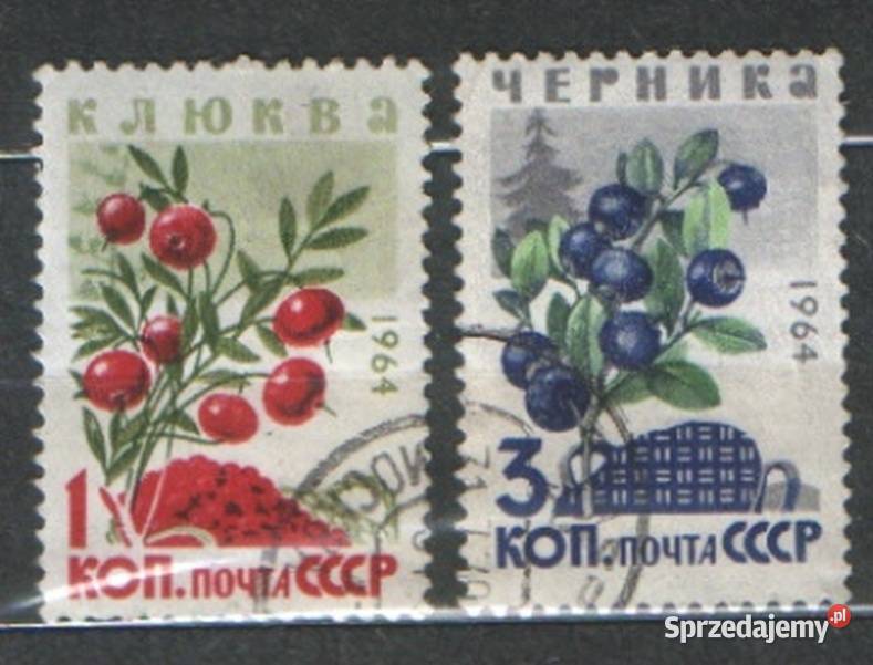 Zn ZSRR Mi 2654 60 kas 1962 Gliwice