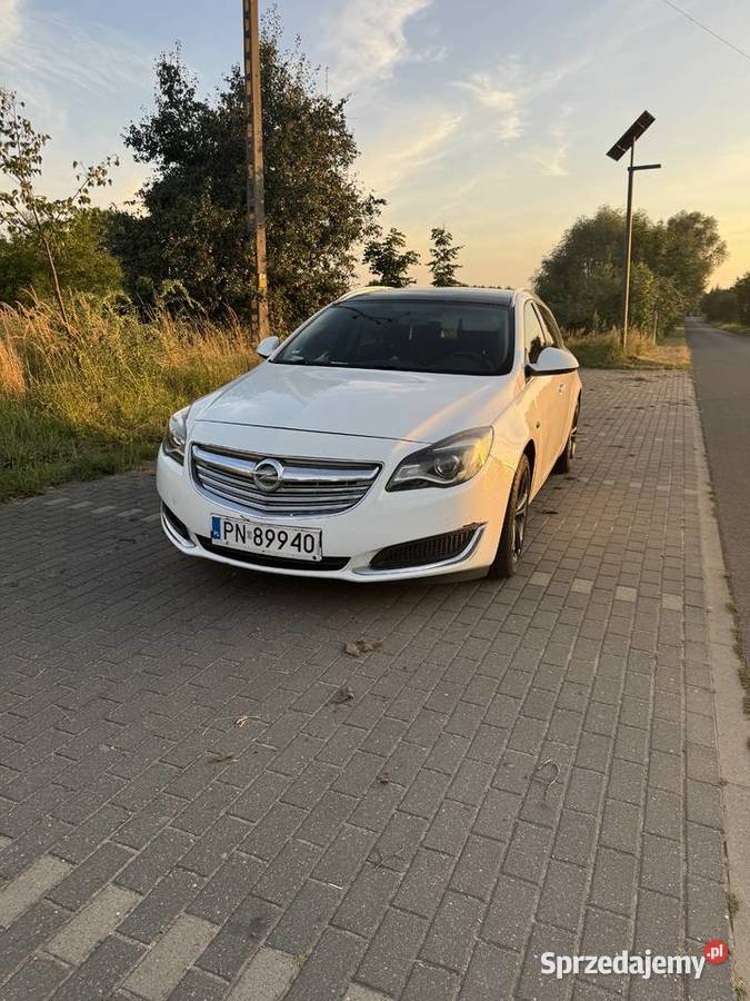 Opel Insignia Włocławek