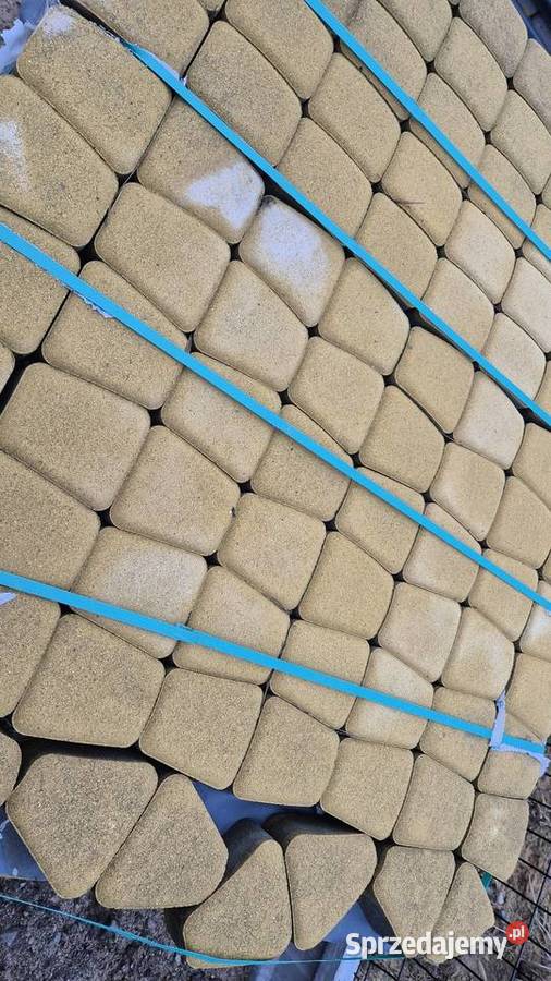 Starobruk rzymski żółty Hryniewicze