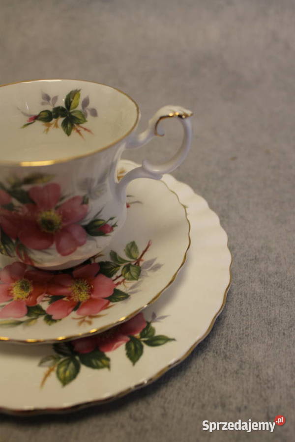 Filiżanka Royal Albert ROYAL ALBERT kwiaty Porcelana i szkło Dobrzany