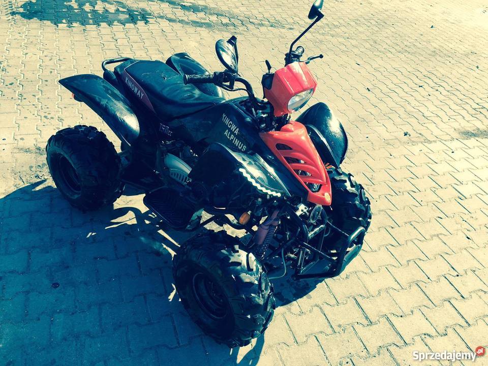 Super Quad Bashan 150 Kingway Alpinus Stan Krotoszyn