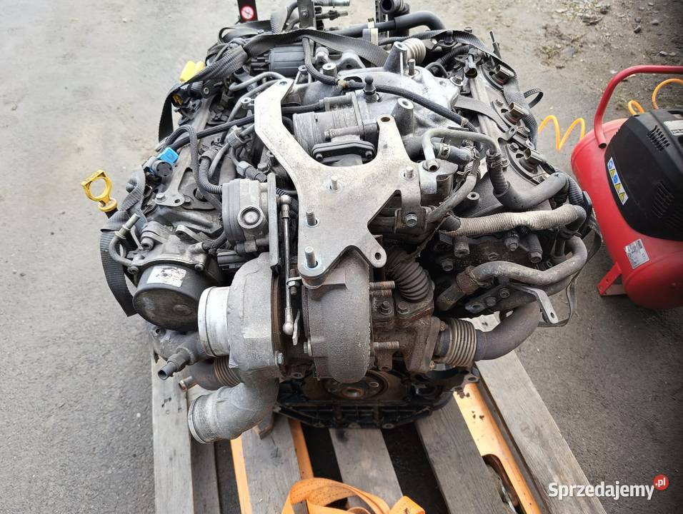 Silnik Opel Signum 30 V6 CDTI opolskie Brzeg