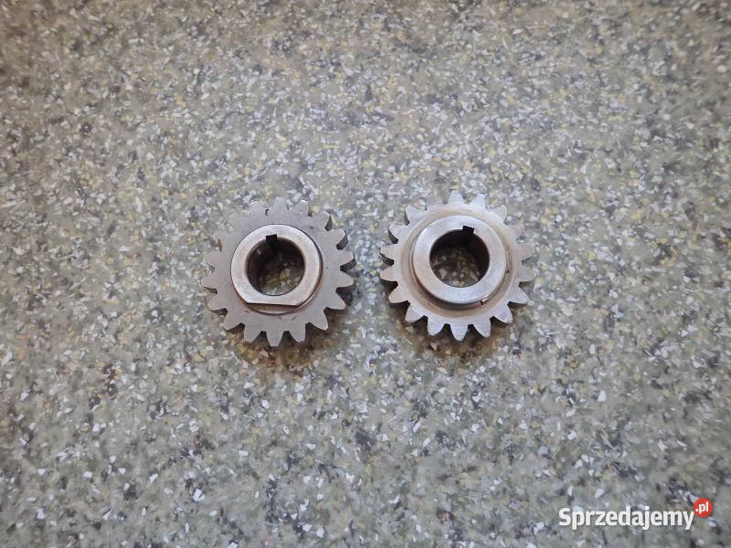 1 TRYB ZĘBATKA WAŁU KORBOWEGO KTM EGS 125 GS Strzelce Krajeńskie