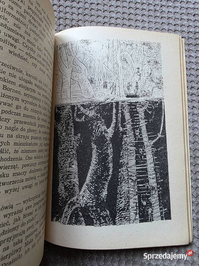 Juliusz Verne Napowietrza wioska Kraków