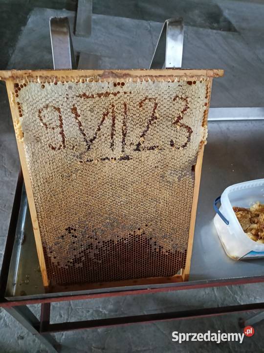 Miód Karmienie Lublin sprzedam