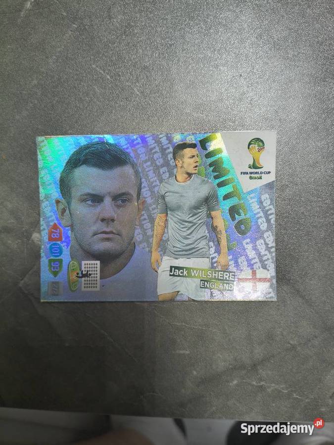 PANINI FIFA WORLD CUP BRASIL 2014 Kraków