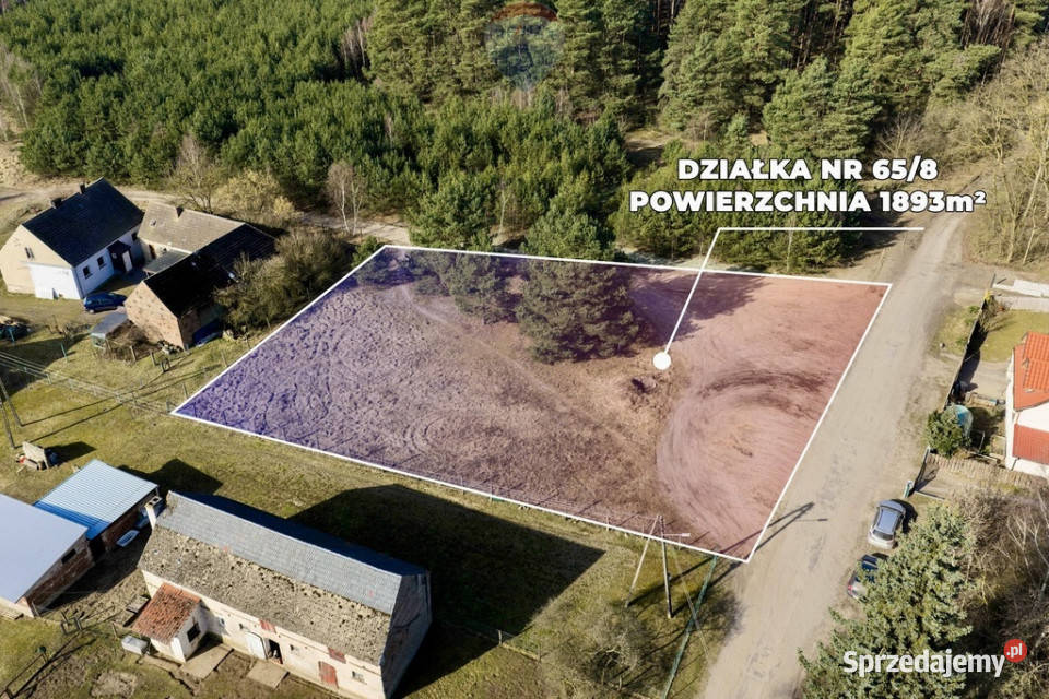 Działka lesie z warunkami zabudowy Leśniów Mały