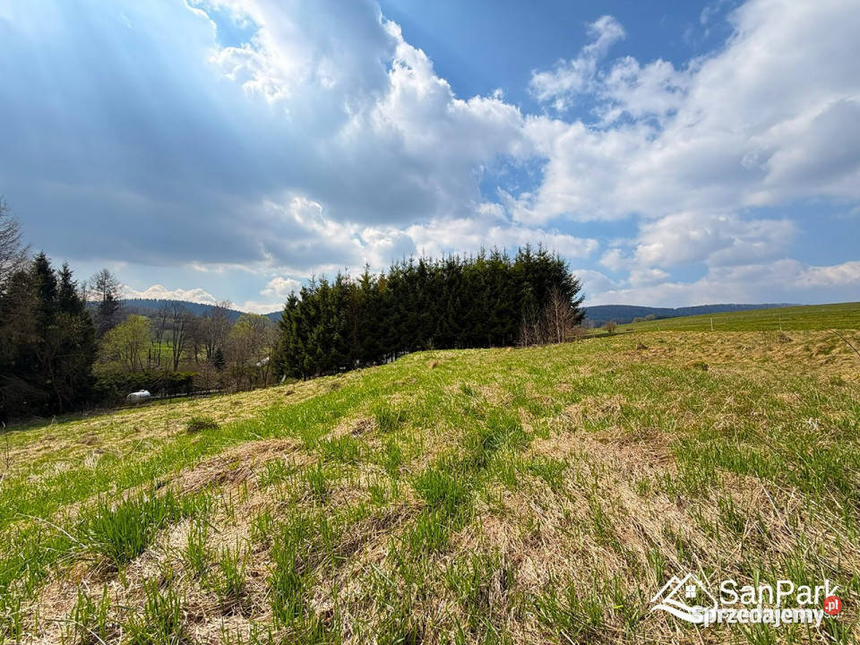 Ogłoszenie działka Hoszowczyk 2215m2