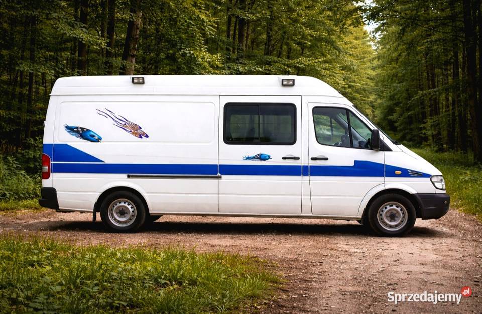 Mercedes sprinter