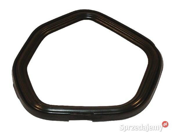 Uszczelka pokrywy zaworu 12391ZE2020 Kamionna