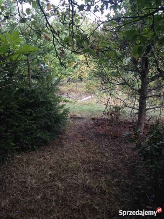 Działka ogródek 38a Dzierżoniów POD KOLEJARZ 3zł/m2