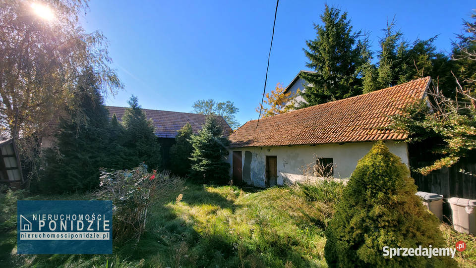 Dom 80 m2 na działce 2677 m2 SkrzypiówPińczów Mozgawa