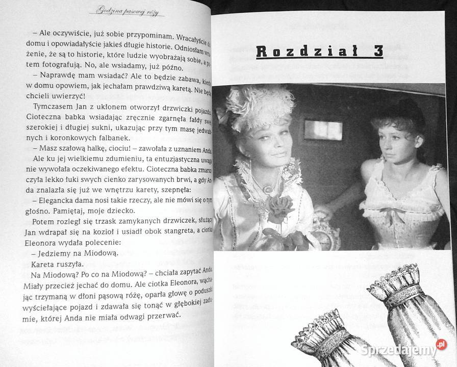 Godzina pąsowej róży Maria Krger lubelskie Chełm