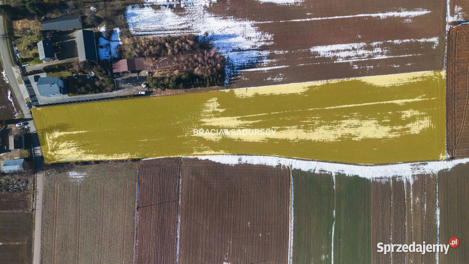Grunt 15000m2 Gołyszyn małopolskie sprzedam