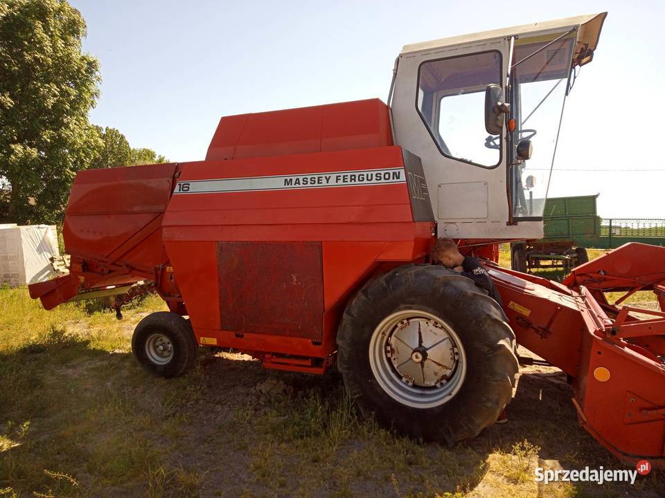 Kombajn zbożowy mf 16 nieuszkodzony Izbica Kujawska
