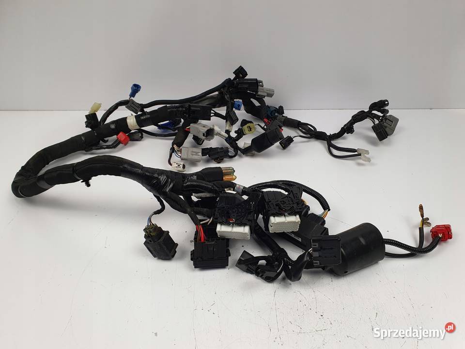 INSTALACJA ELEKTRYCZNA WIĄZKA Suzuki GSX8S 2023 Wiązki elektryczne Chełm