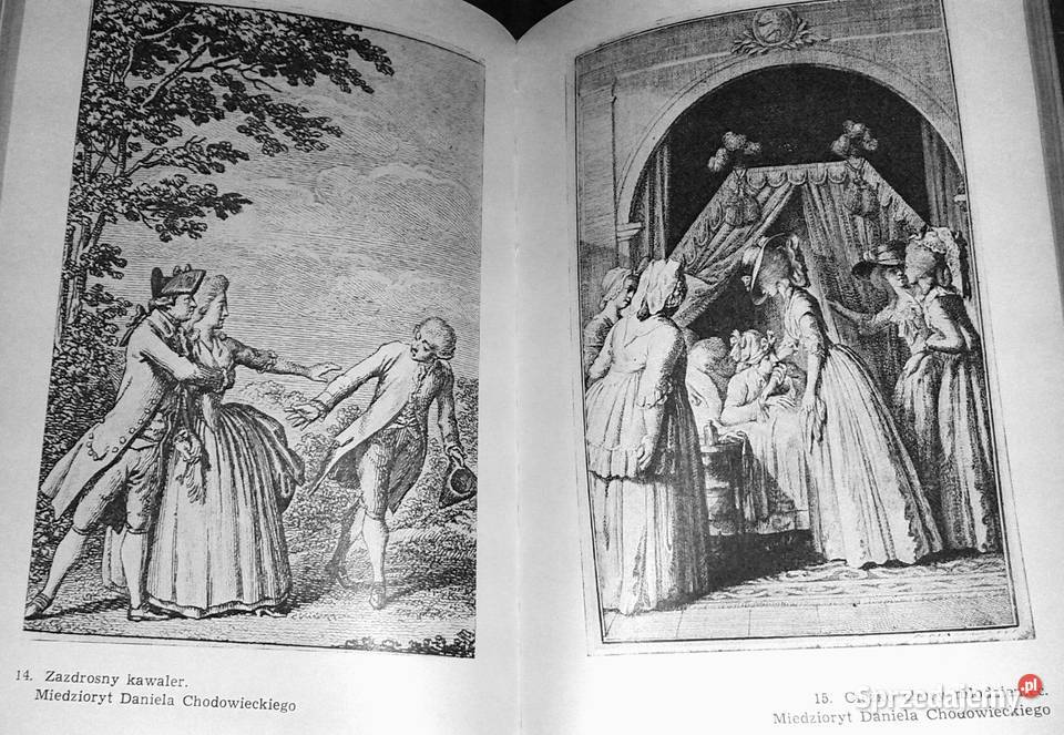 Pułkownikówna Józef Ignacy Kraszewski Chełm