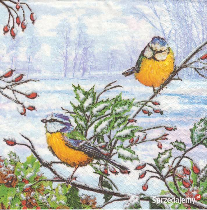 Dekupaż Boże Narodzenie zima ptaszki sikorki sprzedam
