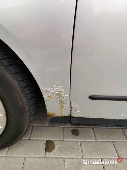 Volkswagen Passat B6 DSG Comfortline 20TDI Passat Katowice