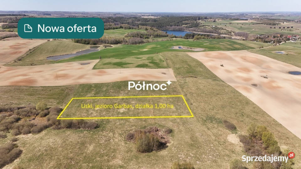 Działka rolna Liski gm Stare Juchy jezioro rolna warmińsko-mazurskie