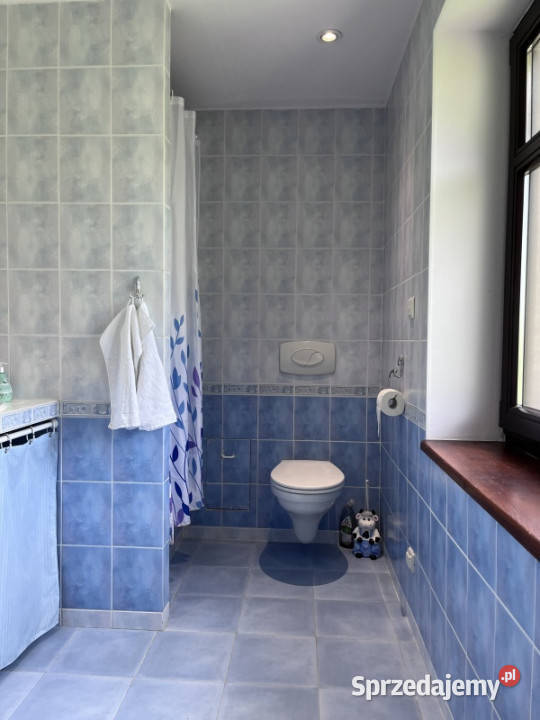 Sprzedam dom całoroczny siedlisko na wsi Liczba pokoi 4 Źródła