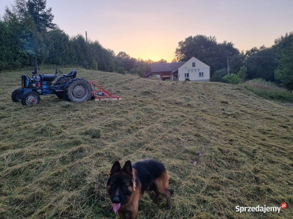Piękny kawałek ziemi na sprzedaż ! 0,49 ha na podkarpaciu