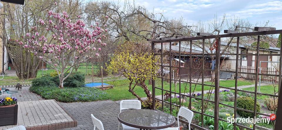 Dom wolnostojący centrum Niedrzwica Duża