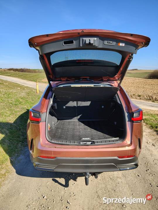 Lexus NX 350h AWD Prestige Design Premium klimatyzacja NX sprzedam