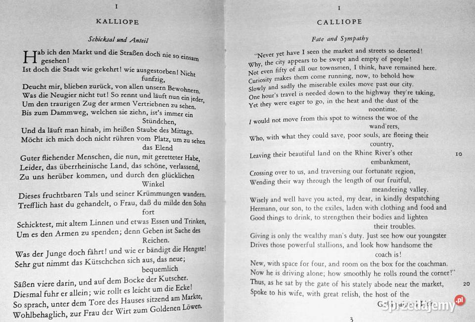 Hermann and Dorothea Johann Wolfgang von Goethe Pozostałe Chełm sprzedam