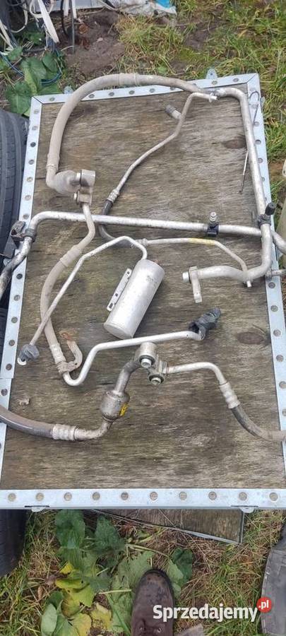 Lampy signum life Vectra c lift Xenon h7 wielkopolskie Gniezno