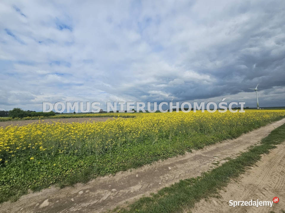 Działka 67765m Stefanów Nieruchomości