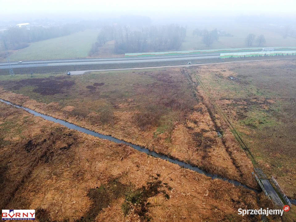 Ogłoszenie grunt Piotrków Trybunalski 8924m2 8924m2 łódzkie