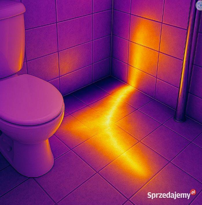 Wykrywanie wycieków kamerą termowizyjną Wrocław