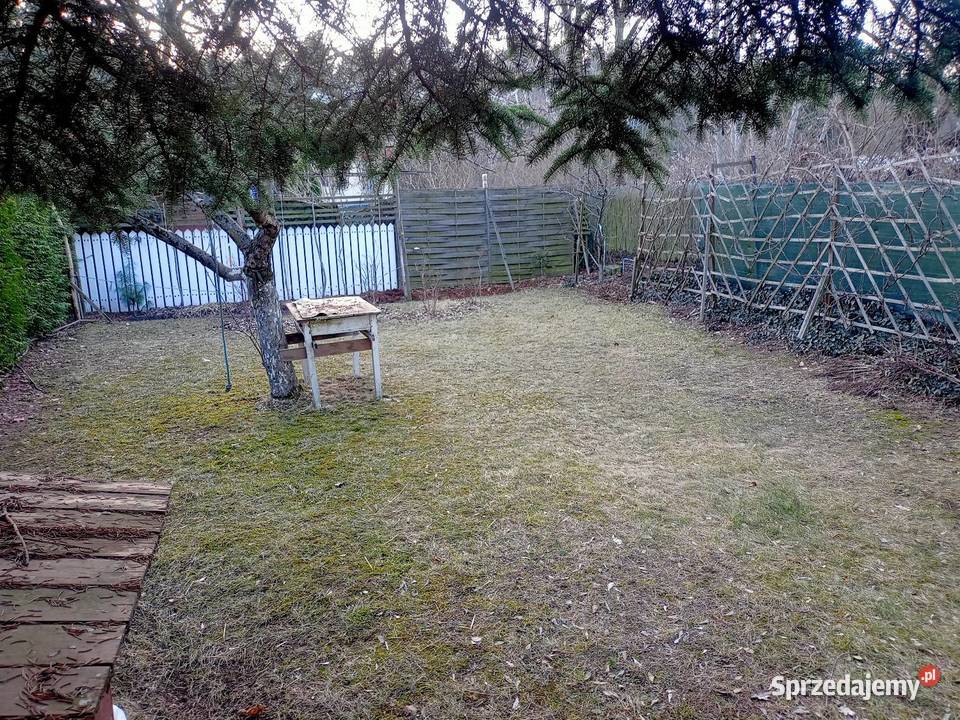 Działka rekreacyjna ogródek działkowy ROD Poznań