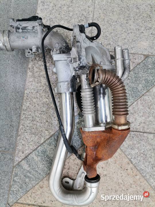 EGR Renault kango podlaskie sprzedam