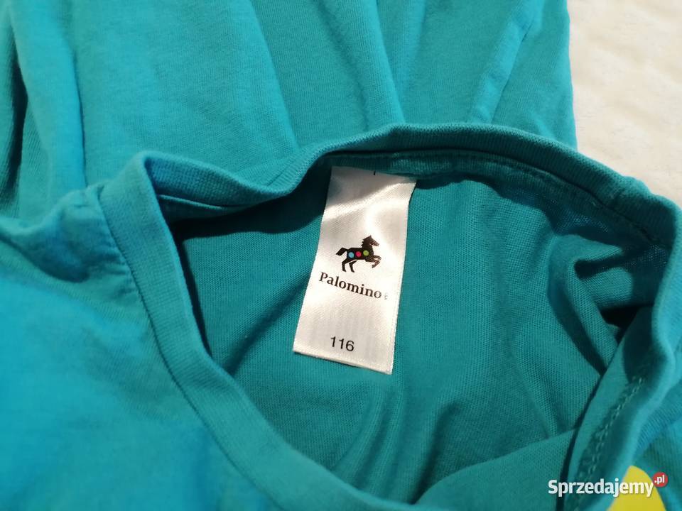 Koszulka krótki rękaw Tshirt dinozaur 116 CA Czeladź