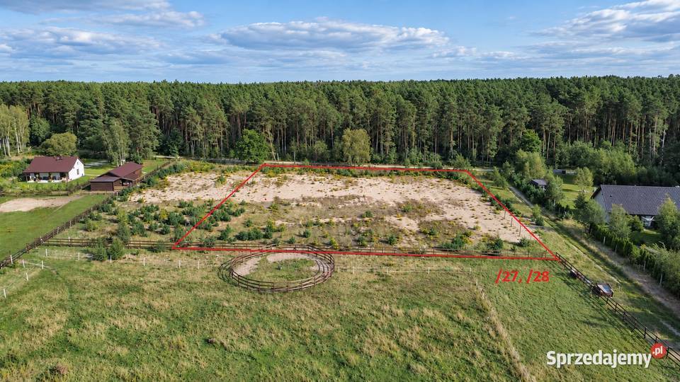 DZIAŁKA ROLNOBUDOWLANA WZ 5267 m 5267m2 Grotów sprzedam
