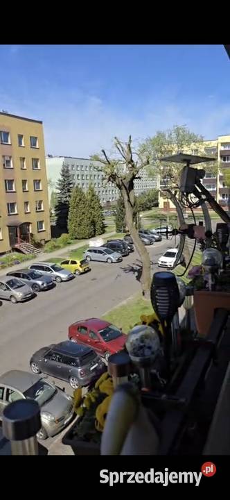 Mieszkanie 4 pokojowe Knurów
