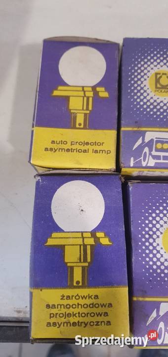 Żarówka 12v osobowe Pakość