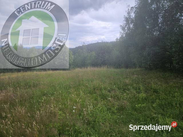Działka Jamnica 1000m2 1000m2